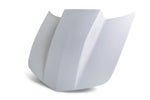 Anderson Composites Hood AC-HD1011CHCAM-CP-GF product image 1