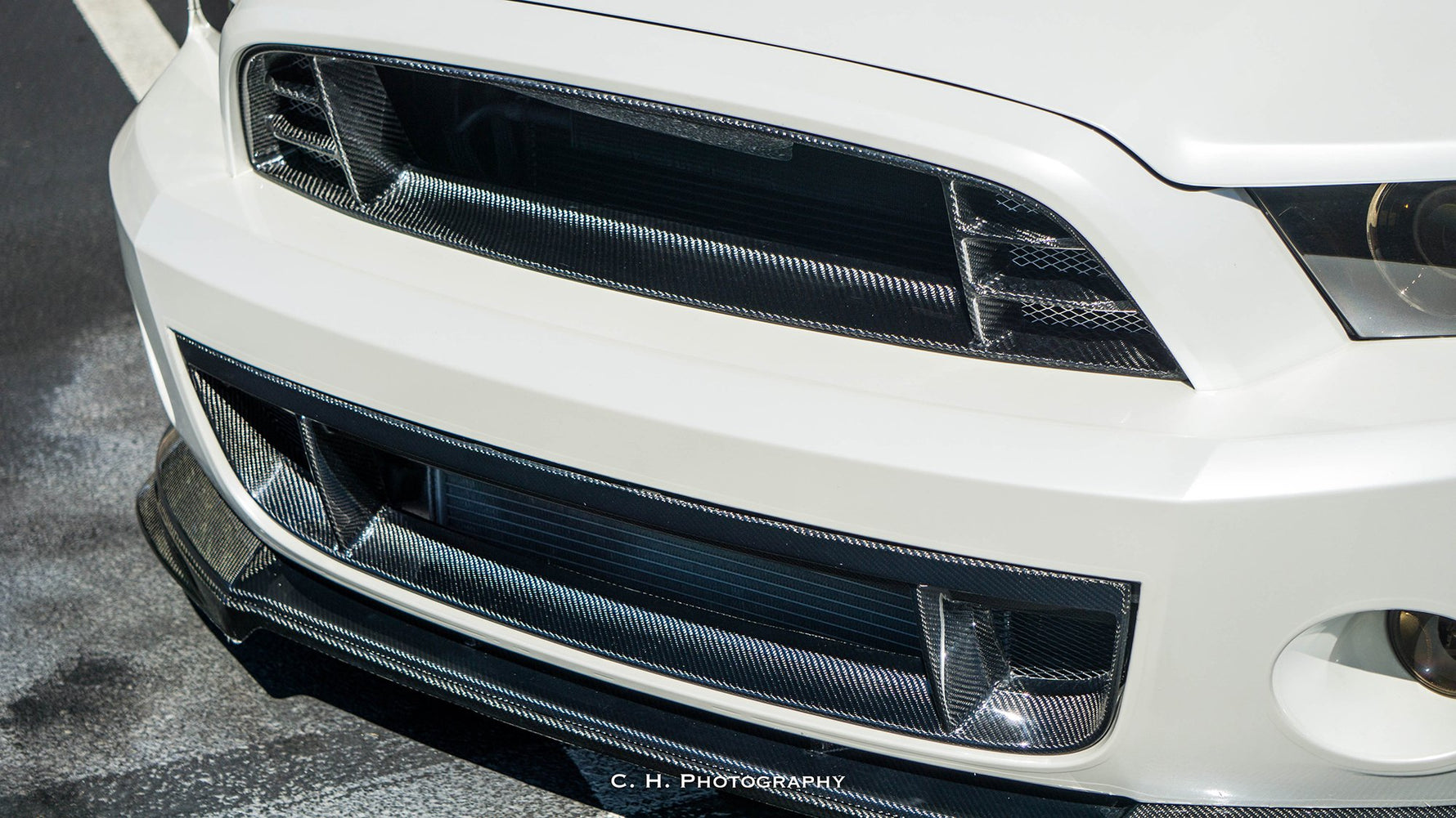 Anderson Composites Grille AC-LG1213FDGT product image 7