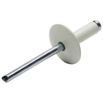 Allstar Performance Rivet ALL18011 — product image 1