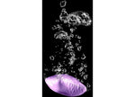 Camco RV Cleaning and Maintenance - 41558 - image 6
