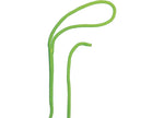 Extreme Max BoatTector Double Braid Nylon Dock Line, 1/2" x 15', Neon Green - 3006.2445 - image 2