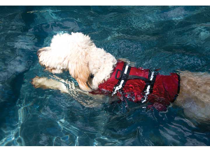 Fido Pet Products Paws Aboard Dog Life Jacket, Lifeguard Red, Xxs - R1100 - image 4