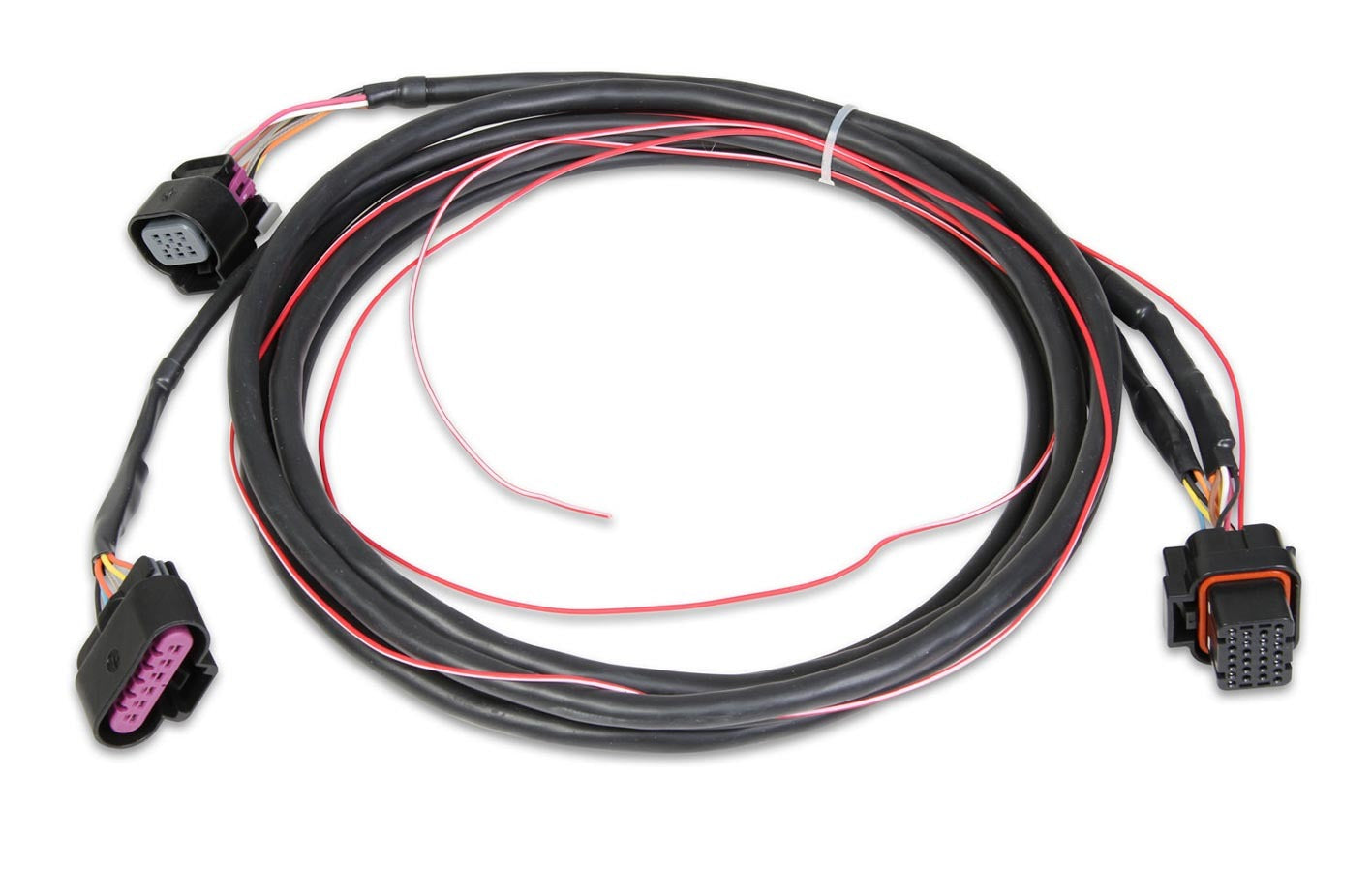 Holley EFI Wiring Harness 558-406 — product image 1