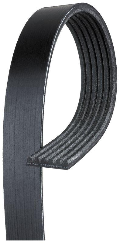 Gates Serpentine Belt, 50 in Outside Circumference, 6 Rib - K060494