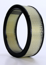 WIX Filters Air Filter, White - 42096R