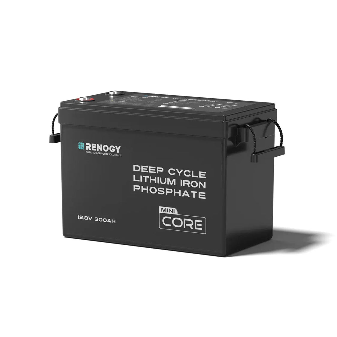 Renogy Battery, Group GC2, 12 V, Lithium Iron Phosphate Style (LiFePO4) - RBT12300LFP-M-G1-US