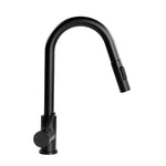 Lippert Faucet, Black Matte - 2021090600