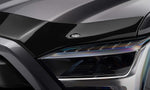 Husky Liners Hood Protectors & Bug Shields 2842107 product image 2