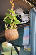 Caframo Limited Fan, 7 in, 3 Speed, 12 V or 24 V - 7010CAWBX
