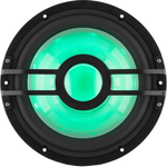 Clarion Subwoofer - 010-03050-00