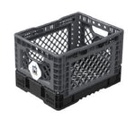 Big Ant Collapsible Container - IP543630G