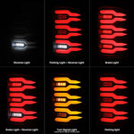 AlphaRex Tail Light Assembly 630070 product image 13