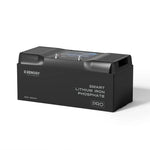Renogy Battery, Pro Series, 12 V, Smart Lithium Iron Phosphate Style (LiFePO4) - RBT12200LFP-BT-G1-US
