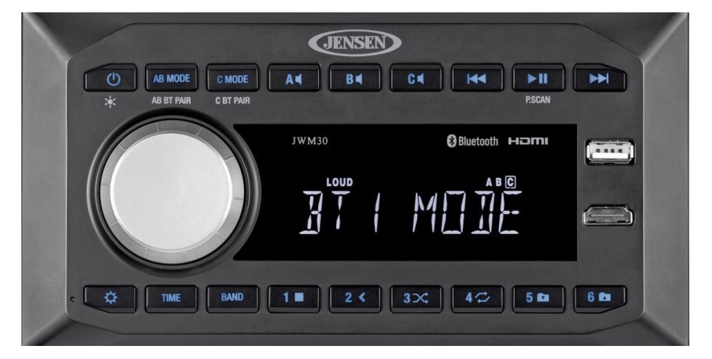 ASA Electronics Radio, Digital AM/FM Tuner With 12 AM/18 FM Stations Preset, Dual Bluetooth Functionality, With Front USB Supports MP3 Player - JWM30