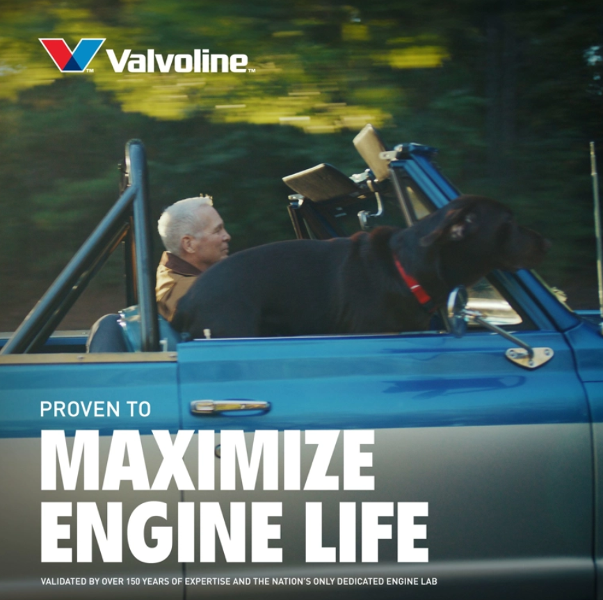 Valvoline Oil, SAE 10W-30, 1 qt Bottle - 891668