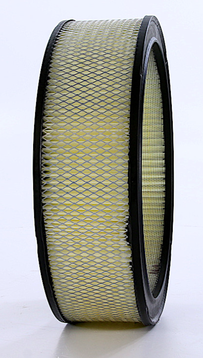 WIX Filters Air Filter, White - 42096R