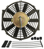 Derale Cooling Fan, 625 Cubic ft Per Minute, 10 Blade - 16910