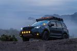 RIGID Industries Auxiliary Light 262214 product image 5