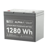 Rich Solar Battery, ALPHA 1, Group 24, 12.8 V Nominal Voltage - RS-B121S