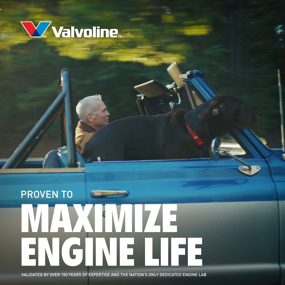 Valvoline Oil, SAE 10W-30, 5 qt Jug - 881161