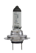 HELLA Headlight Bulb, H7, 70 Watt, 24 V - H7 24V