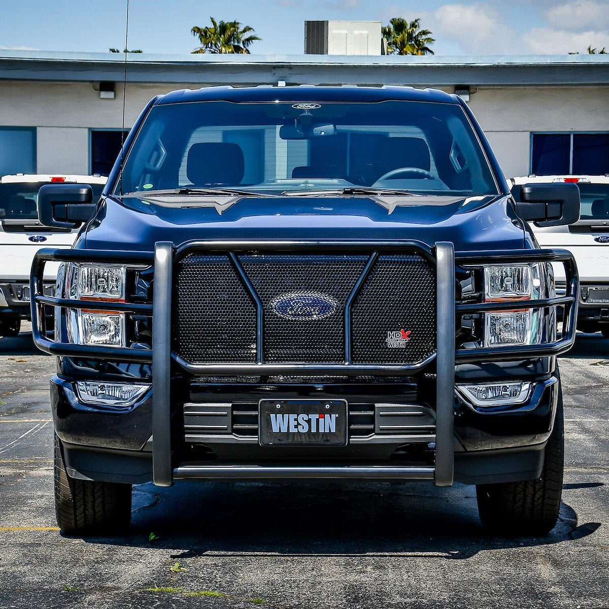 Westin Grille Guards & Bull Bars 57-24065 product image 4