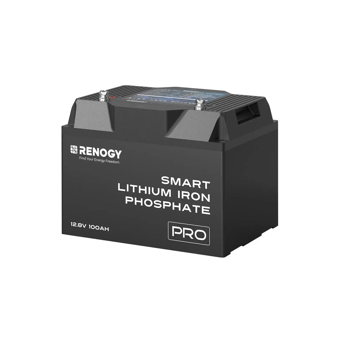 Renogy Battery, Pro Series, Group 24, 12 V - RBT12100LFP-BT-G1-US