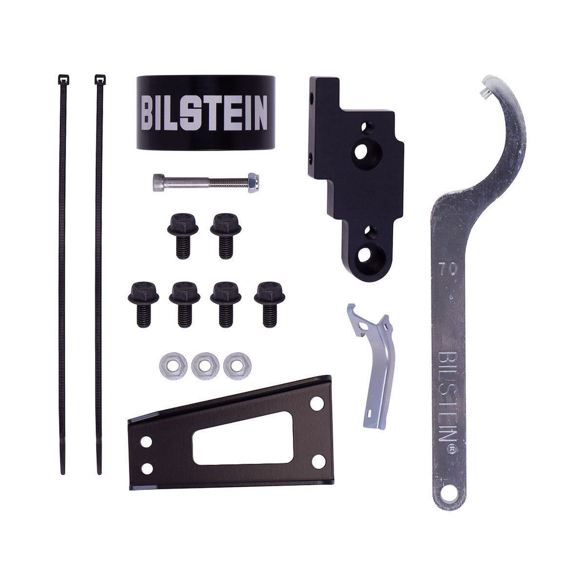 Bilstein Shock Absorber and Coil Spring Assembly 41-319581 product image 2
