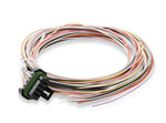 Holley EFI Instrument Cluster 553-116 product image 30