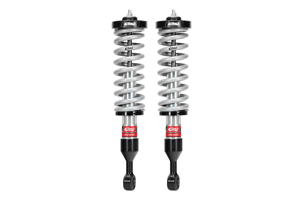 Eibach Coilover Spring and Shock Assembly E86-82-071-01-20 product image 1