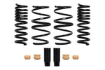 Eibach Coil Spring Lowering Kit E10-82-089-01-22 product image 1