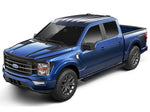 Husky Liners Hood Protectors & Bug Shields 2842229 product image 3