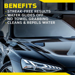 Meguiars Glass Cleaner, 16 oz Spray Bottle - G240416