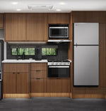 GE Appliances Refrigerator, Dual Compartment 2 Door Refrigerator With Top Freezer, 9.8 Cubic ft, 13.5 amp/12 V DC - PPV10R5YRSS