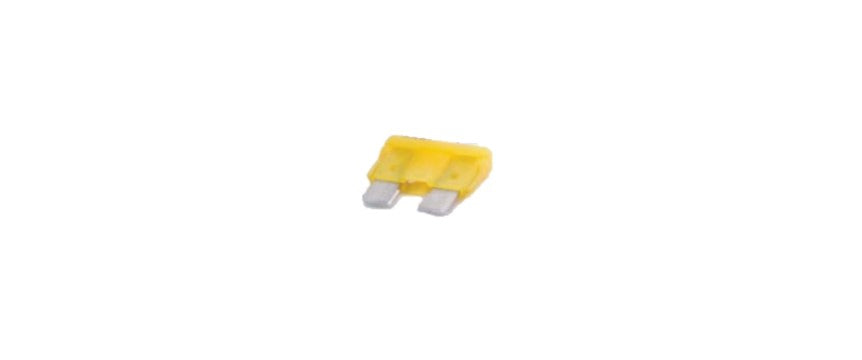 Littelfuse Inc. Fuse, 20 amp - ATO20BP