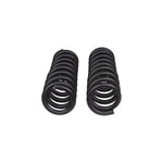 ARB Coil Spring, MT64, 0 To 3 in Lift, Matte Black, Set Of 2 - 4007
