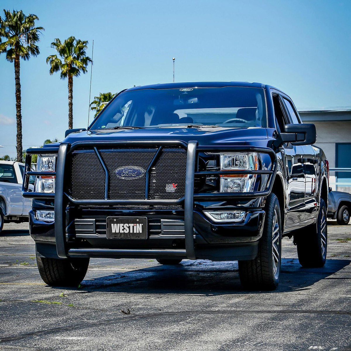 Westin Grille Guards & Bull Bars 57-4065 product image 9