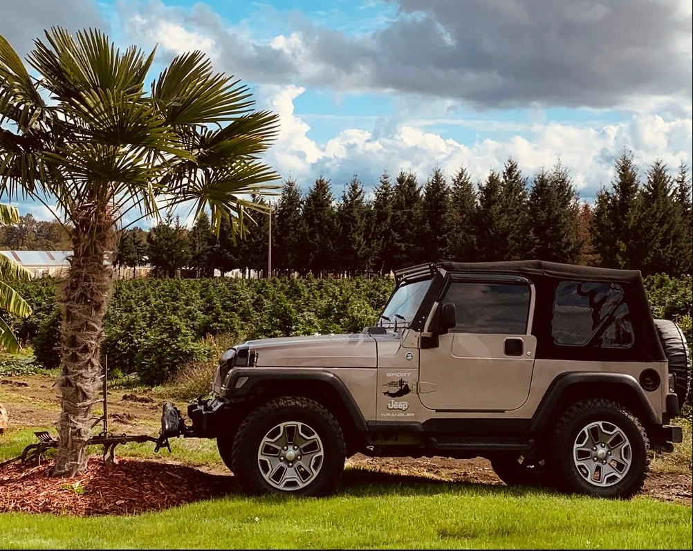 Bestop Soft Top 54820-17 product image 2