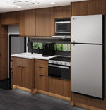 GE Appliances Refrigerator, Dual Compartment 2 Door Refrigerator With Top Freezer, 9.8 Cubic ft, 13.5 amp/12 V DC - PPV10R5YRSS