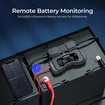 Renogy Shunt, With 3 Mounting Screws/2 B+ Wires 22 AWG And 1 Temperature Sensor - RSHST-B02P300-G1-US