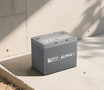 Rich Solar Battery, ALPHA 1, Group 24, 12.8 V Nominal Voltage - RS-B121S