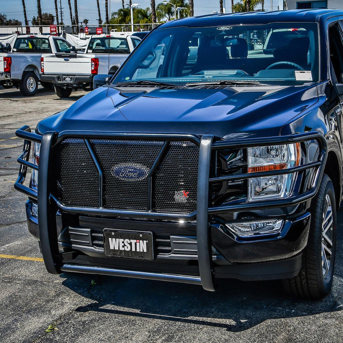Westin Grille Guards & Bull Bars 57-4065 product image 8