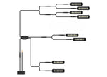 ARC Lighting Strobelink Type B Wiring Harness With 8 Perimeter Lights - BB8KB08 - image 6