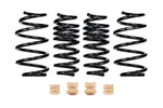 Eibach Coil Spring Lowering Kit E10-23-039-01-22 product image 1