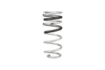 Eibach Lift Kit E80-82-105-01-22 product image 3
