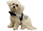 Fido Pet Products Paws Aboard Dog Life Jacket, Nautical, Xxs - N1100 - image 1