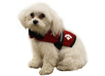 Fido Pet Products Paws Aboard Dog Life Jacket, Lifeguard Red, Xxs - R1100 - image 1